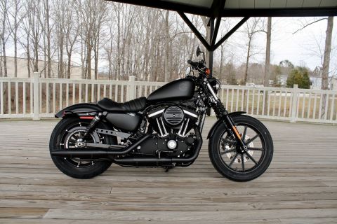 harley davidson iron 883 for sale